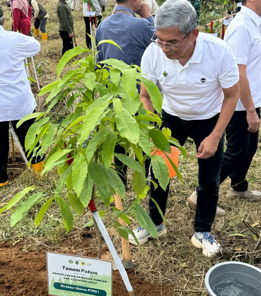 Lestarikan Alam, PTPN I Tanam Pohon di Puncak Mas Bogor