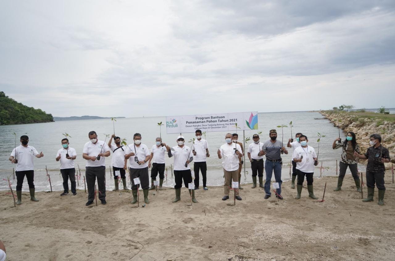 Jaga Kelestarian Alam, PLN Tanam 7.500 Mangrove di Manggarai Barat.