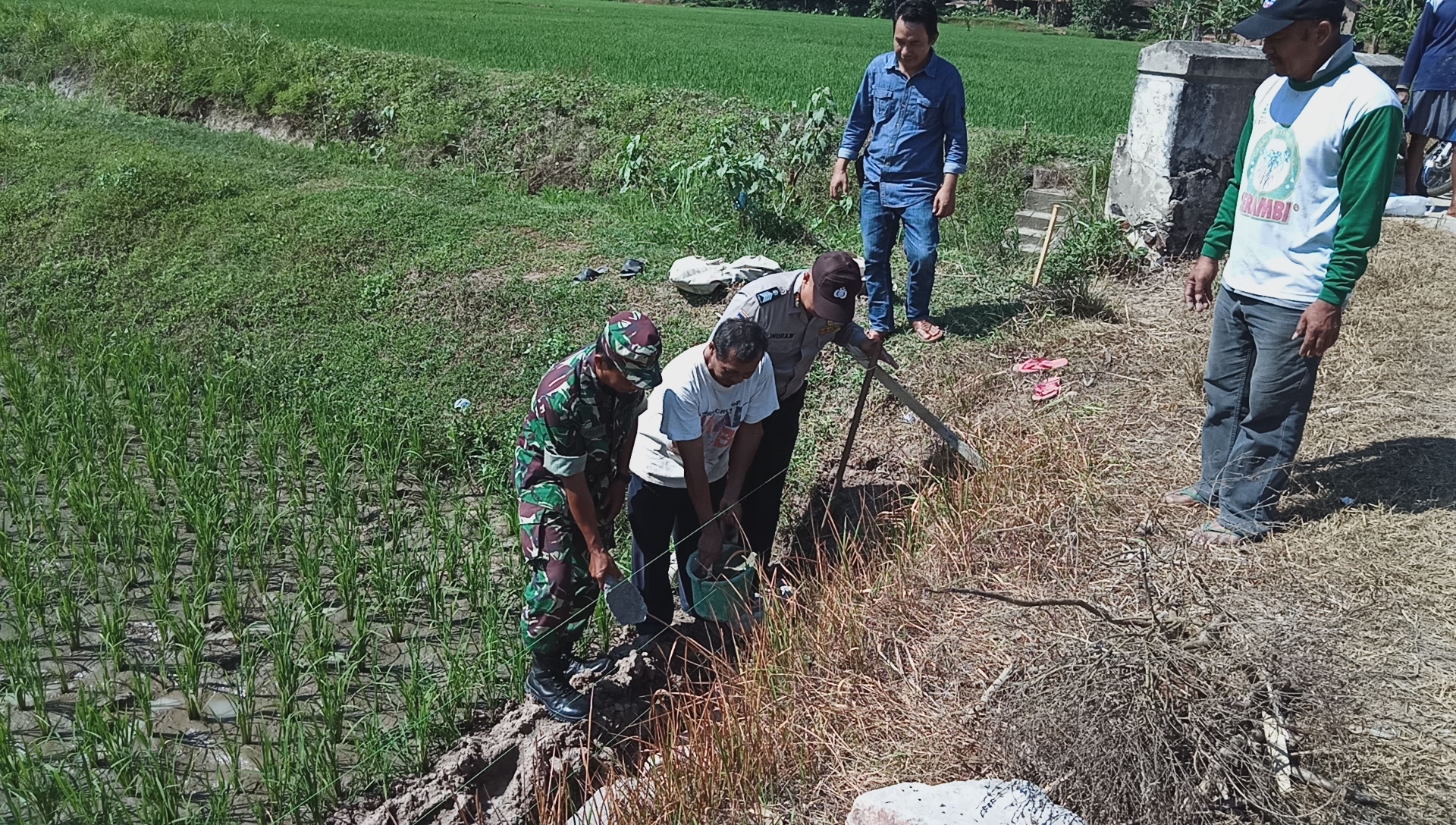 Pekon Pandansari Laksanakan Program Padat Karya Tunai