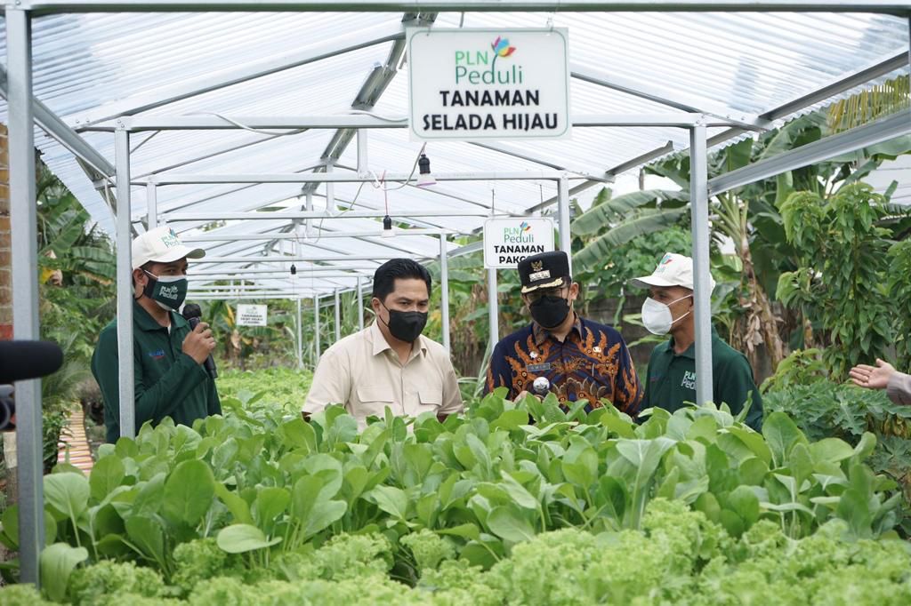 Dorong Efisiensi, Menteri BUMN Dukung Program Electrifying Agriculture PLN.