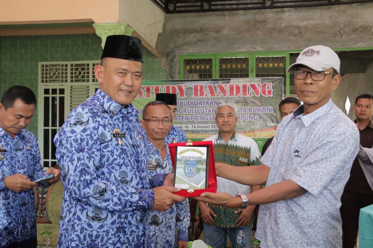 Minapolitan Bengkulu Utara Belajar Budidaya Ikan Patin di Pringsewu