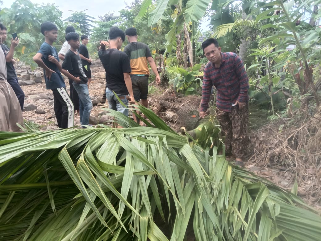 Meriahkan Hari Raya Idul Fitri, Pemuda Pekon Penanggungan Siapkan Panjat Pinang.