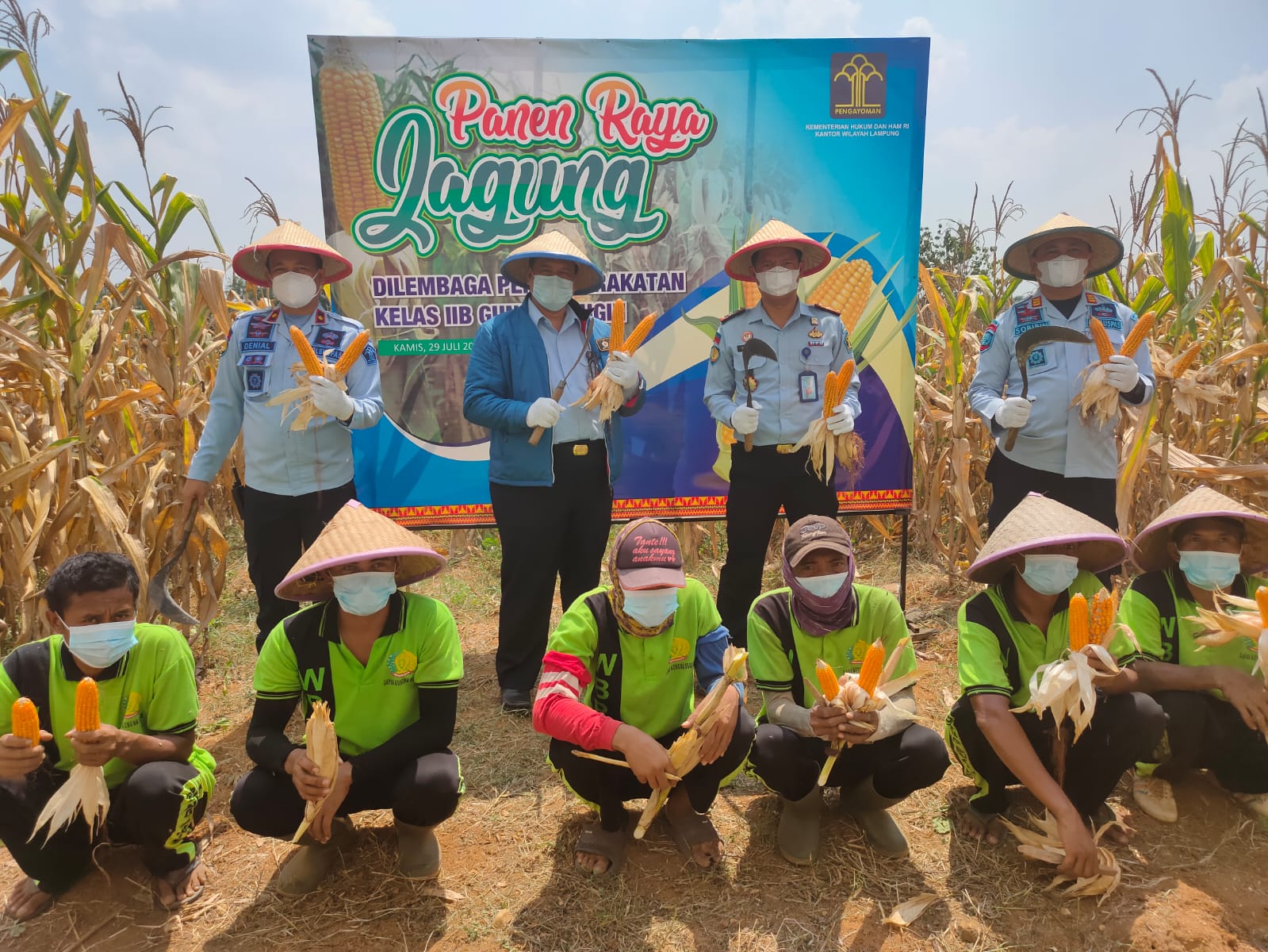 WBP Produktif, Lapas Gunung Sugih Panen Jagung