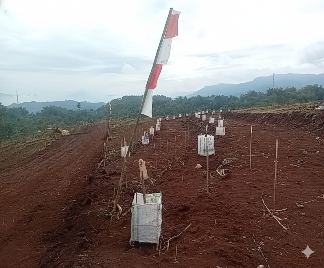 PTPN I Target Bangun Kebun 27 Ribu Hektare di Jawa Barat