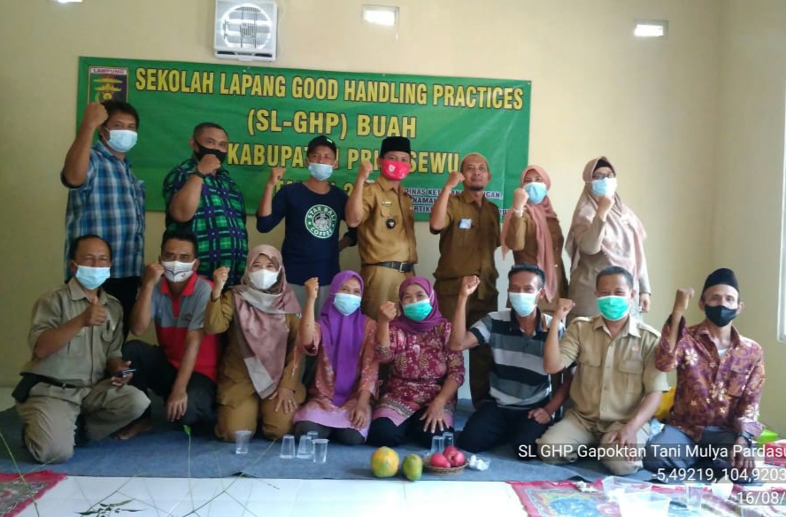Pelatihan SL-GHP Buah Sirsak di Pringsewu
