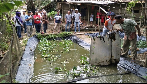 Wujudkan Sentra Perikanan, Pemkab Mesuji Beri Pendampingan Kelompok Budi Daya Ikan