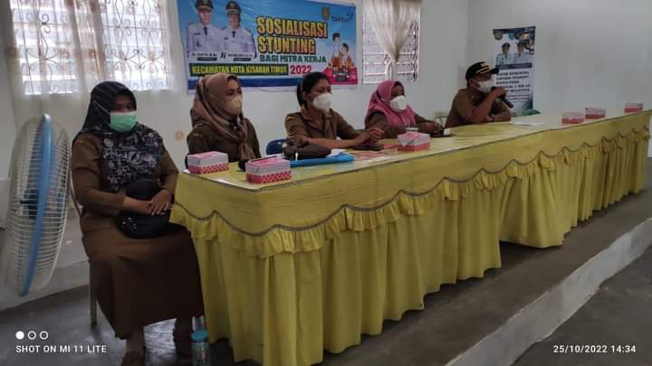 Sosialisasi Pencegahan Stunting Tingkat Kelurahan Kabupaten Asahan