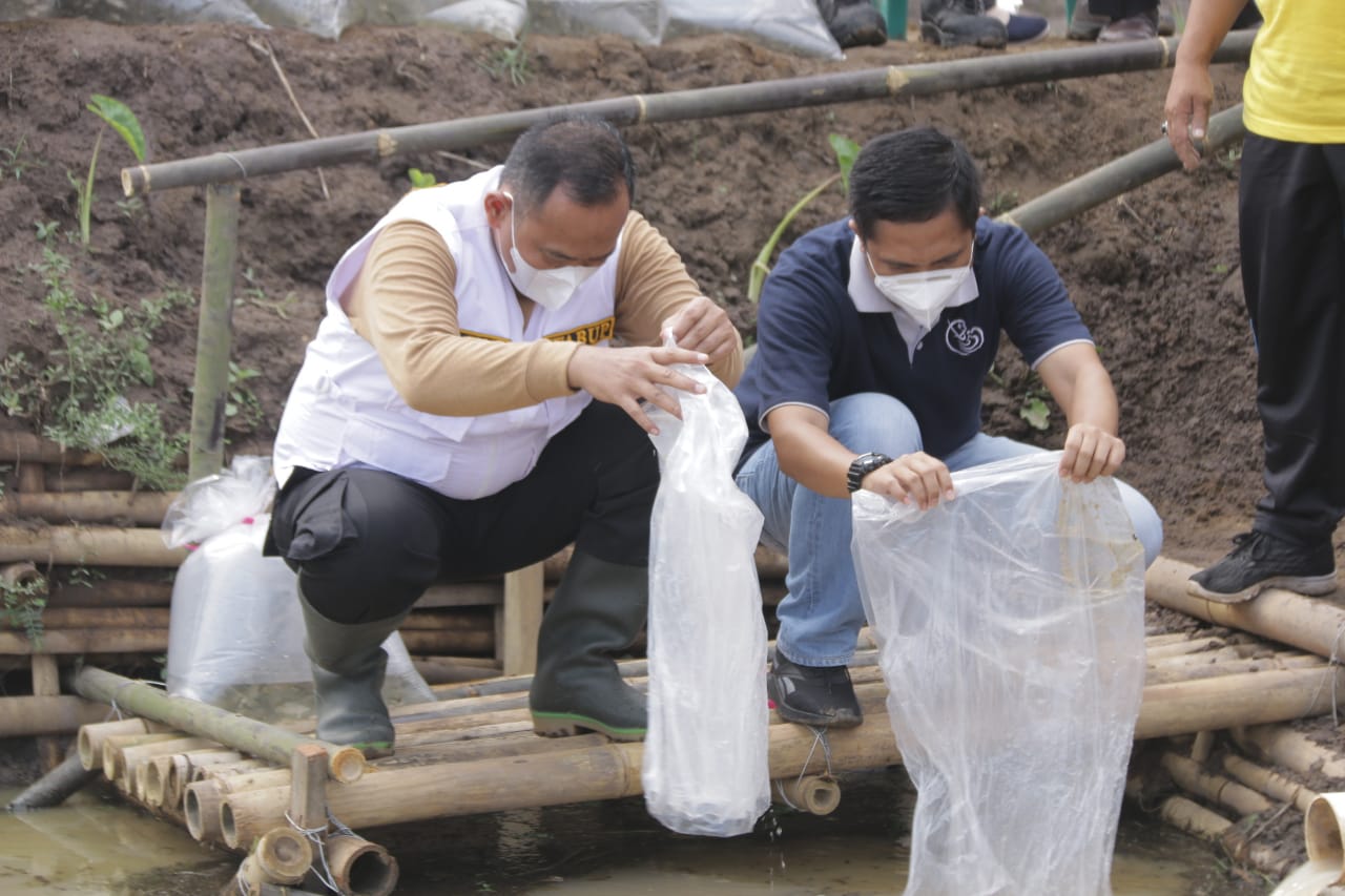 Wabup Pringsewu Tebar Benih Ikan dan Tanam Pohon di Kedung Wungu Rejosari