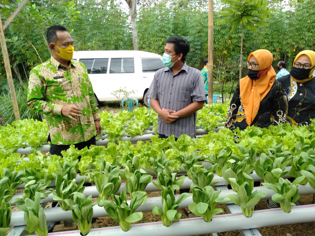 Wabup Pringsewu Minta OPD Dukung KWT