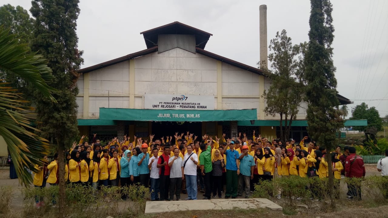 Mahasiswa Unsri Kuliah Lapangan Ke PTPN7 REPA.