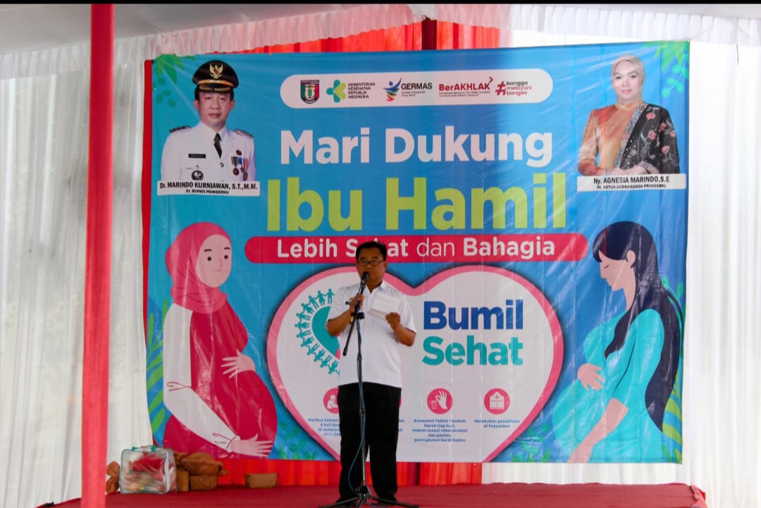 Pemkab Pringsewu Adakan Gerakan Ibu Hamil Sehat