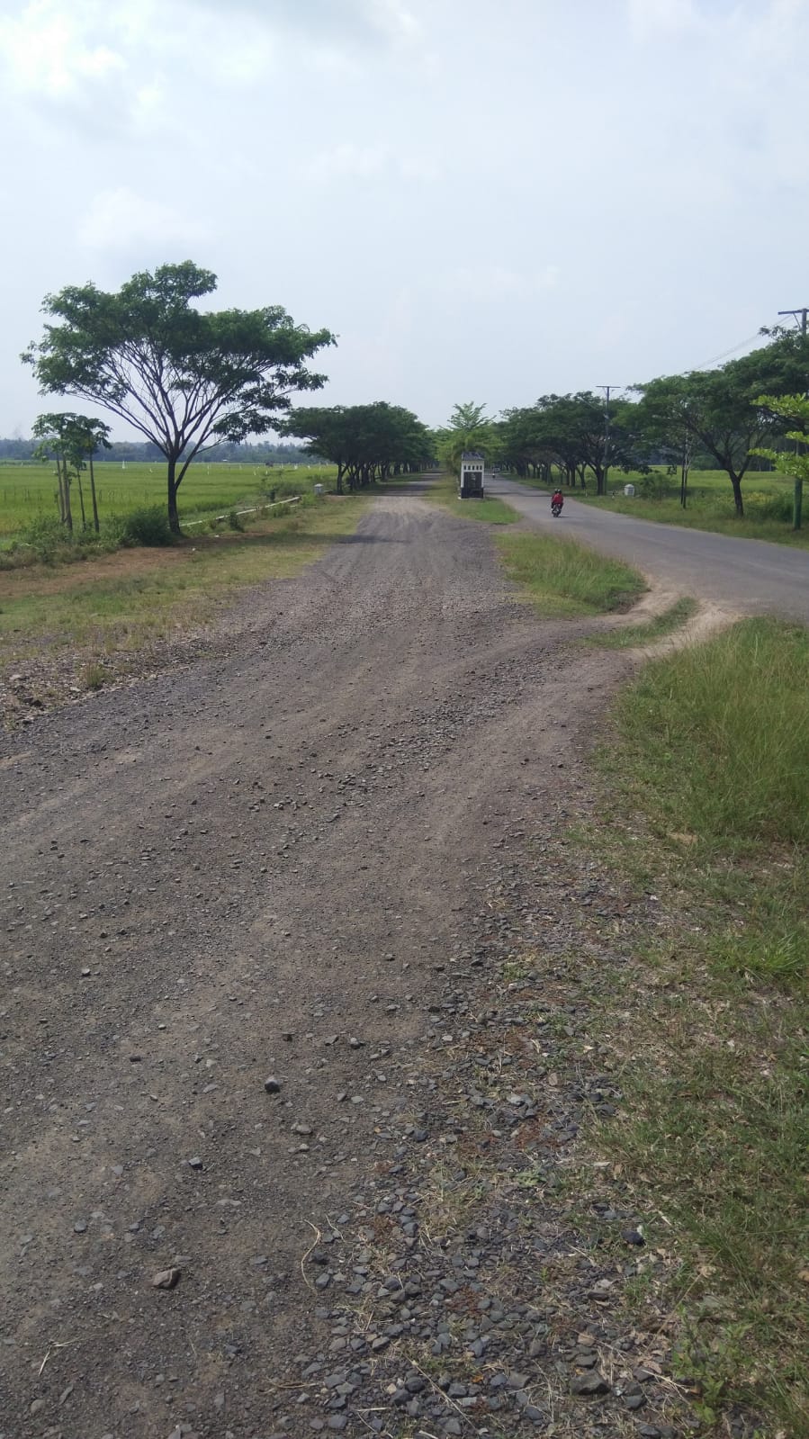 Terkesan Terbengkalai, Pembangun Jalan Dua Jalur Pemkab Pringsewu Menuai Berbagai Tanggapan.