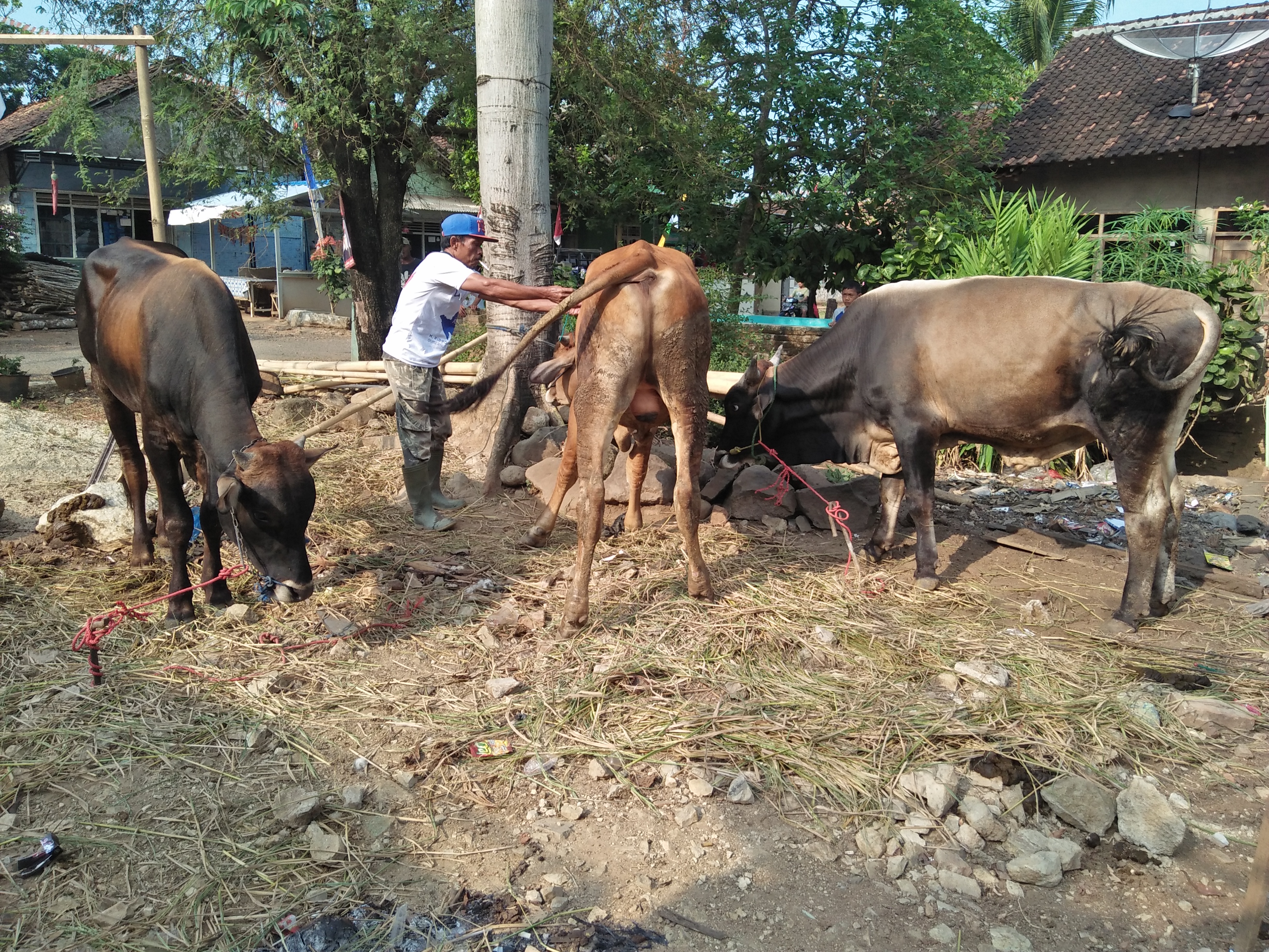 Ibadah Qurban, Sarana Pendidikan Bagi Umat Islam.