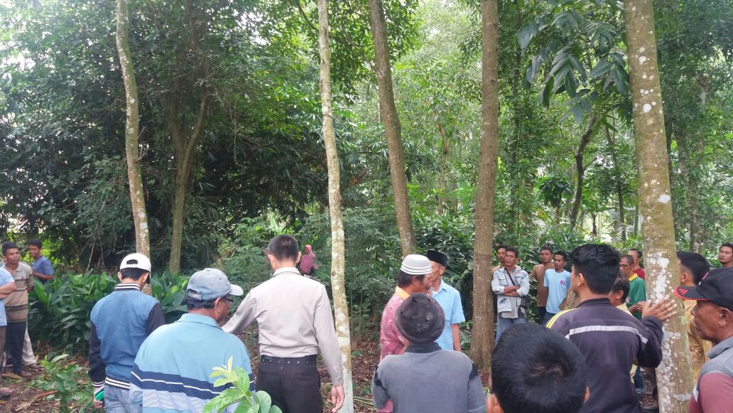 Penderita Gangguan Jiwa,  Gantung Diri Dipohon Akasia