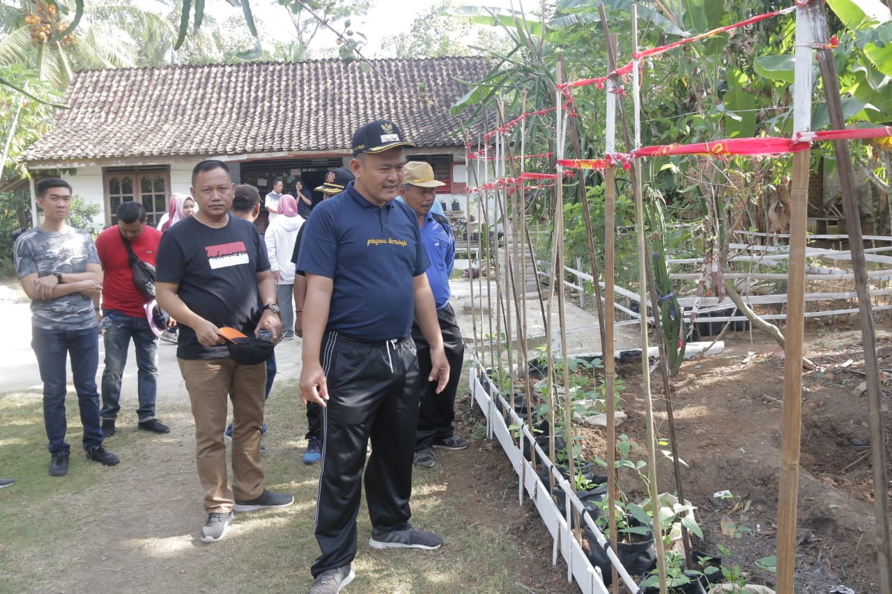 Fauzi Tinjau Persiapan Lomba P3KSS Pekon Bandung Baru Barat