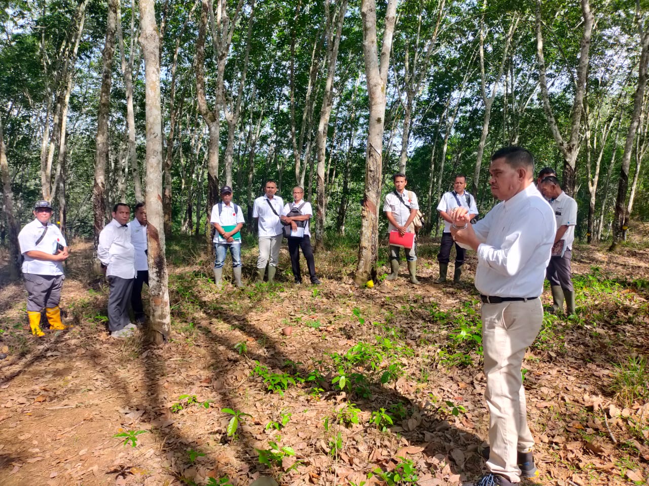 Tuhu Bangun: Pastikan Tembus Sadap dan Produksi Aman!