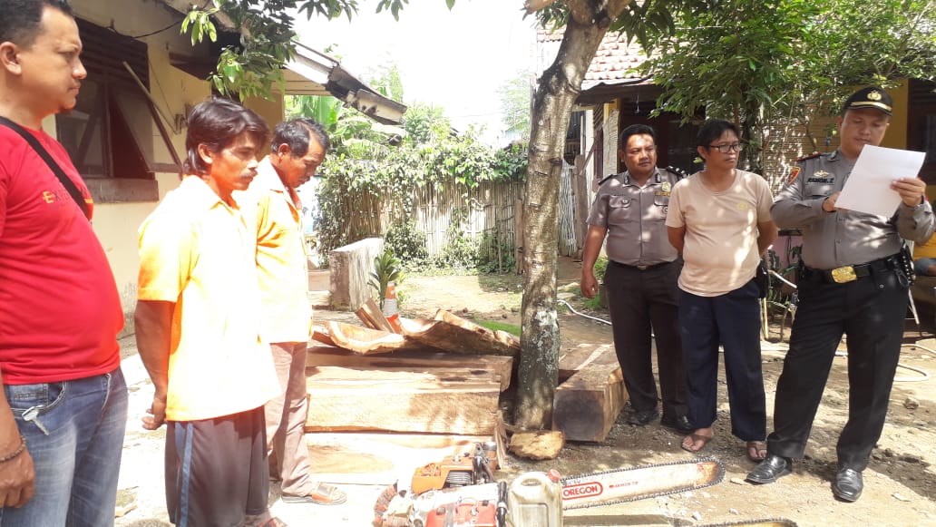 Polsek Pulau Panggung Amankan Dua Pelaku Pembalakan Liar