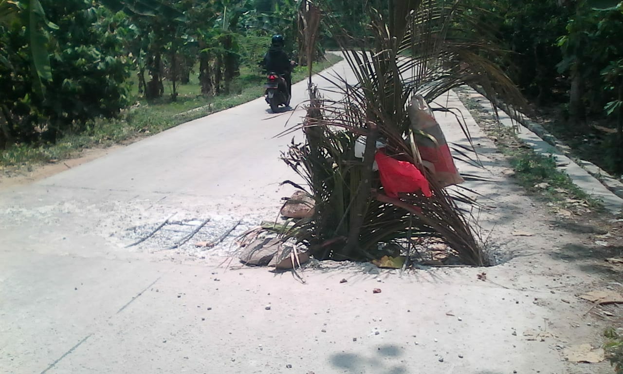 Belum Dua Tahun, Jalan Rijik Beton Sudah Jebol.