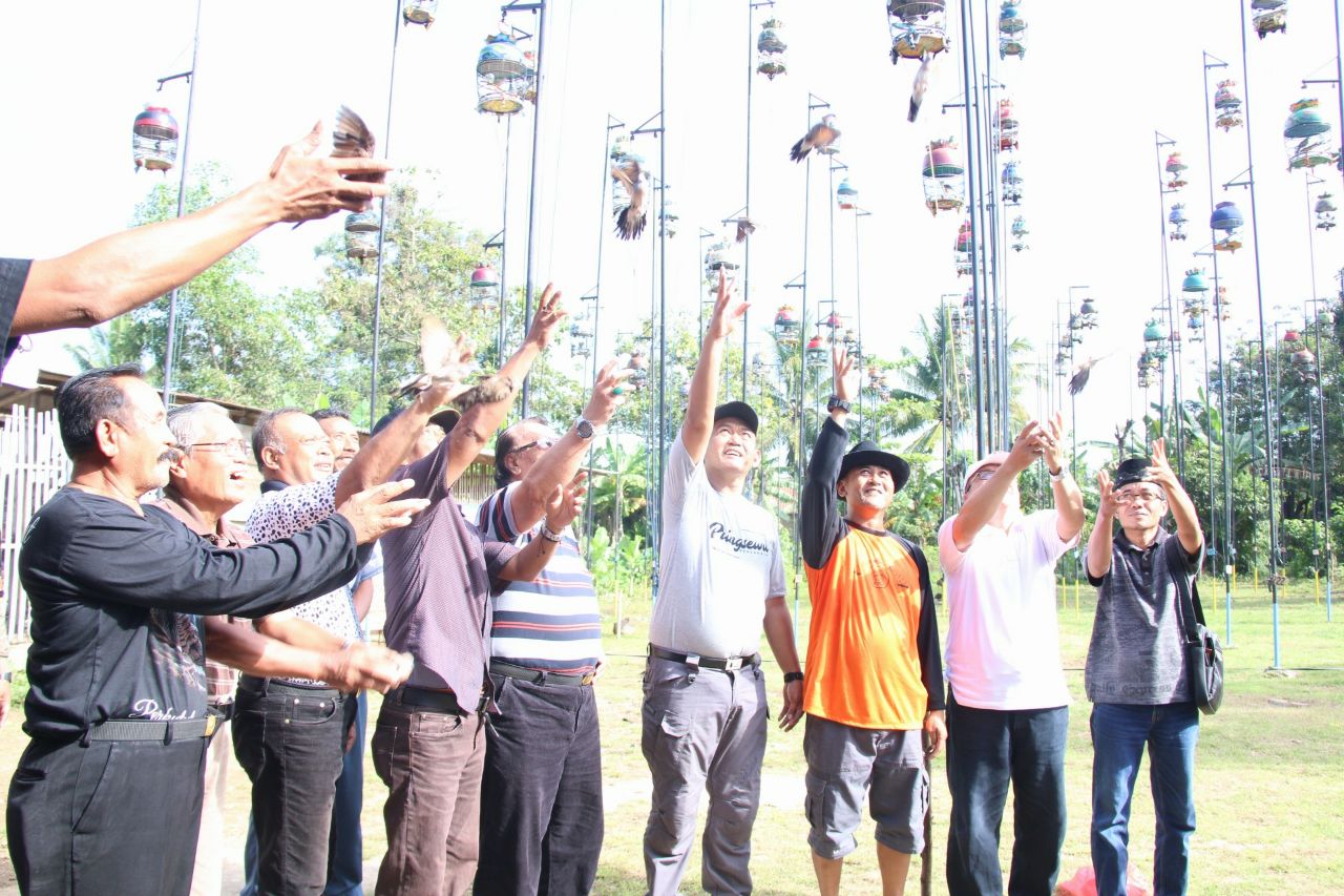 Wabup Buka Lomba Kicaumania di Tambahrejo