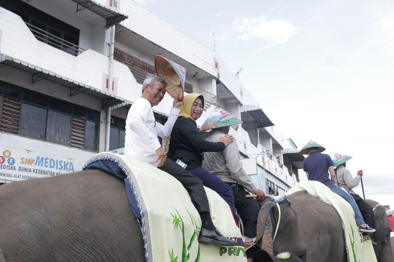 Sembilan Ekor Gajah Ramaikan Karnaval Kebudayaan HUT Pringsewu
