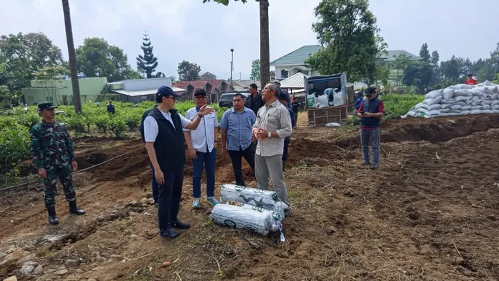 PTPN I Siapkan Ratusan Hektar untuk Lahan Bawang Putih di Kebun Teh Gedeh