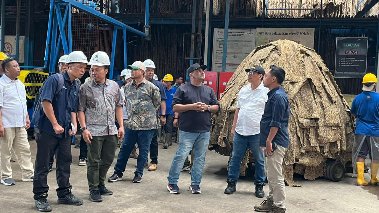 Genjot Produksi Karet di Bengkulu, PTPN I Optimalkan Kebun Padang Pelawi