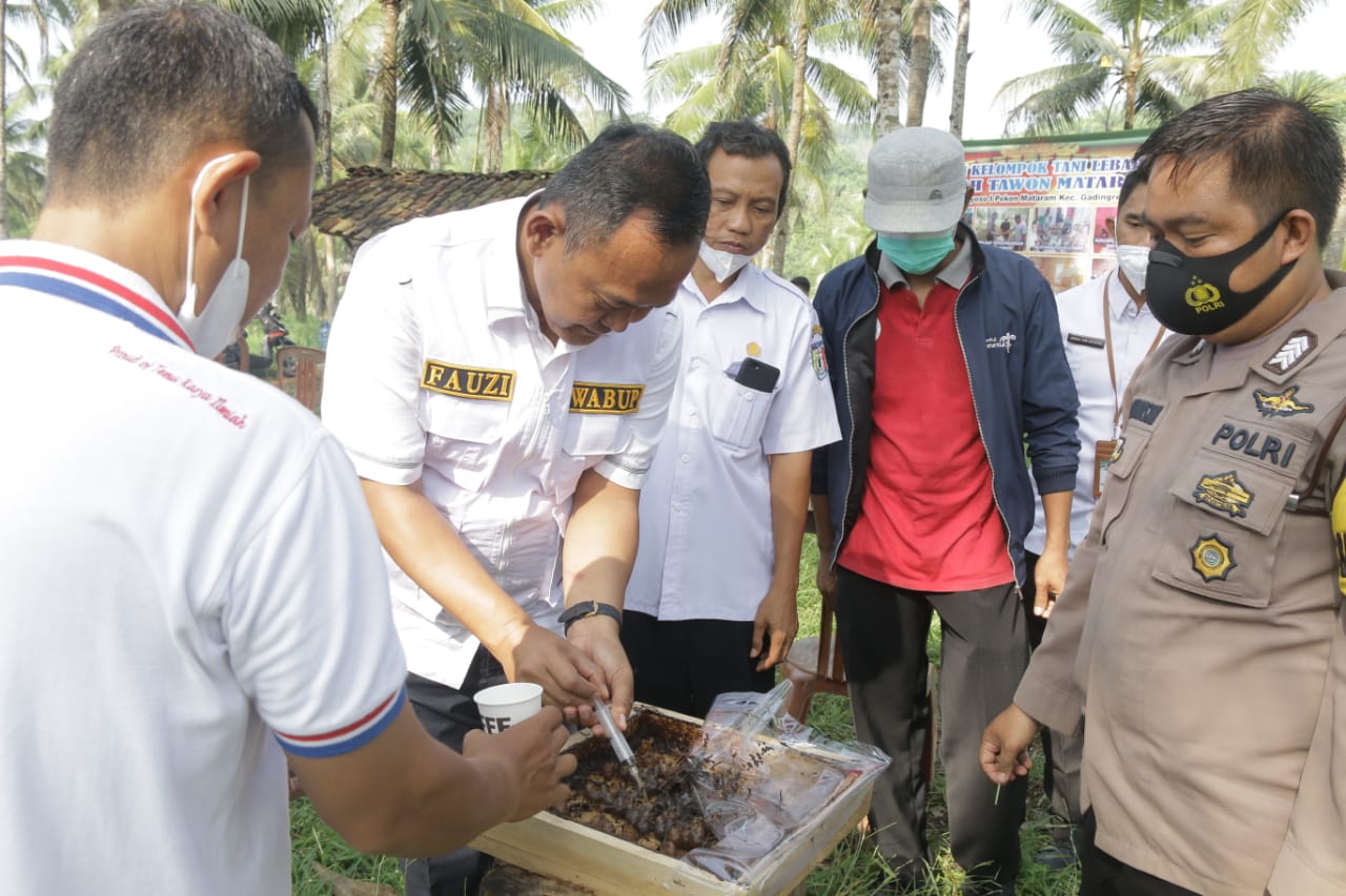 Ayo Ke OTM, Berwisata Sambil Belajar Ternak Lebah Madu