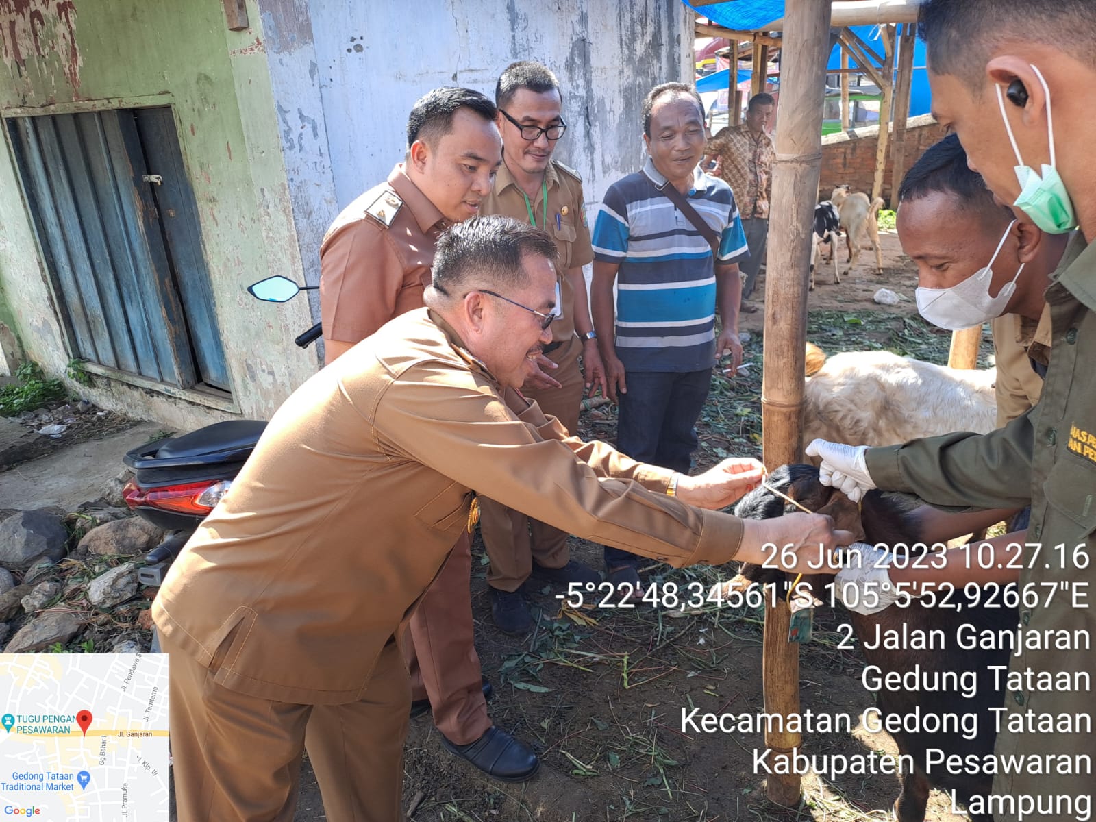 Bersama Disbunak, Sekdakab Pesawaran Gelar Pemeriksaan Hewan Kurban