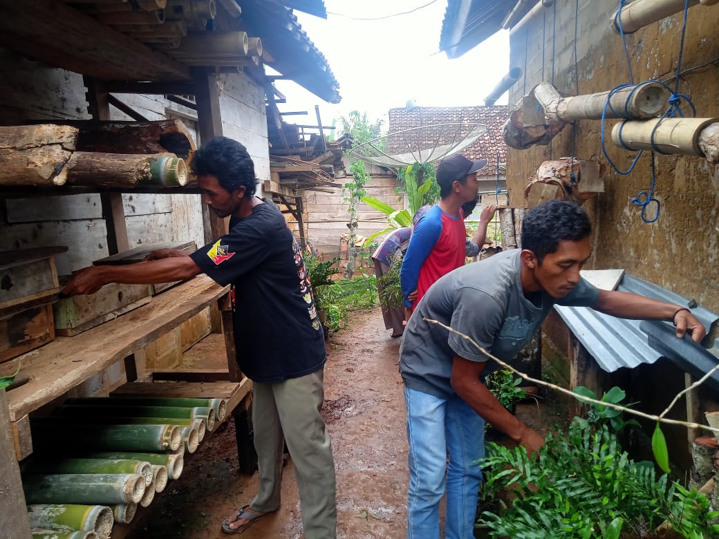 Usaha Madu Lebah Klanceng yang Menjanjikan