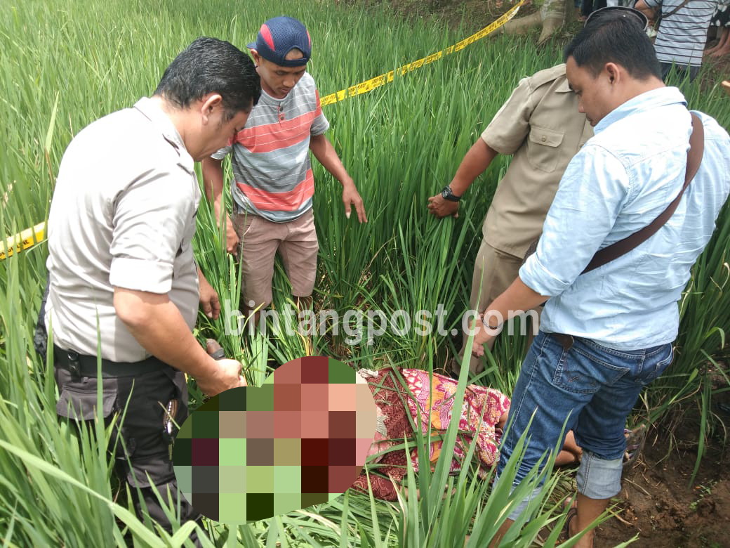 Polisi Evakuasi Mayat di Sawah