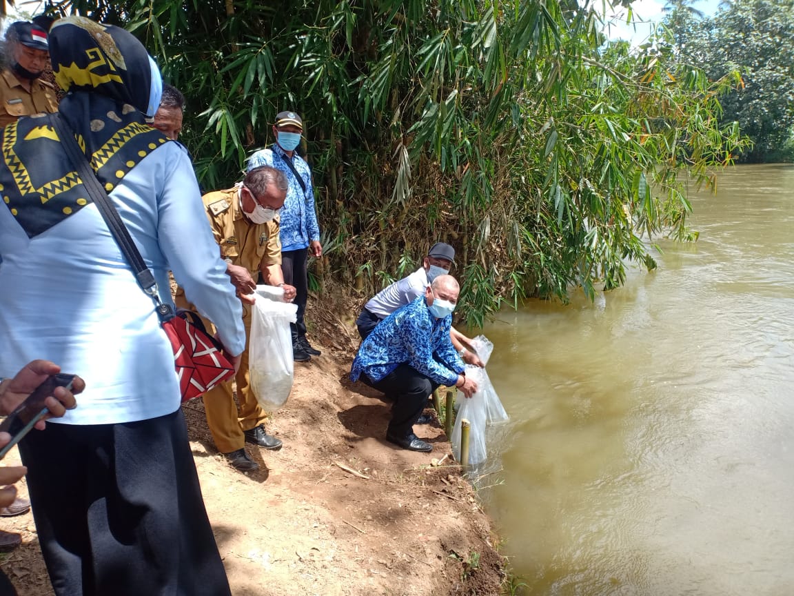 DKP Beri Bantuan Restocking Benih Ikan Kepada Pokmaswas Kabupaten Pringsewu.