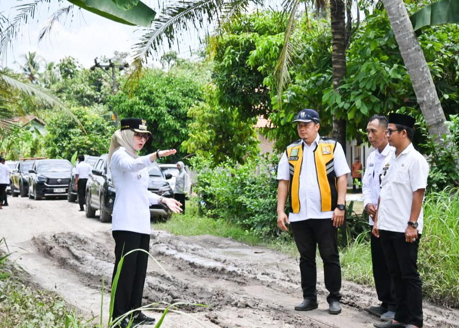 Pemkab Pesawaran akan Bangun Jalan dan Normalisasi Sungai di Padang Cermin