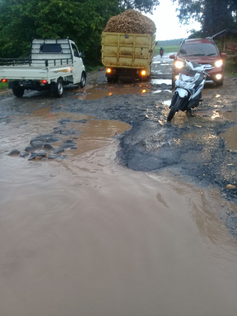 Warga Batanghari Nuban Minta Perbaikan Jalan