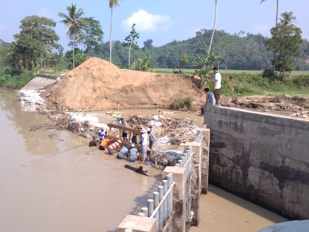 Terancam Gagal Tanam, Kelompok Tani di Gadingrejo Swadaya Perbaiki Tanggul Jebol