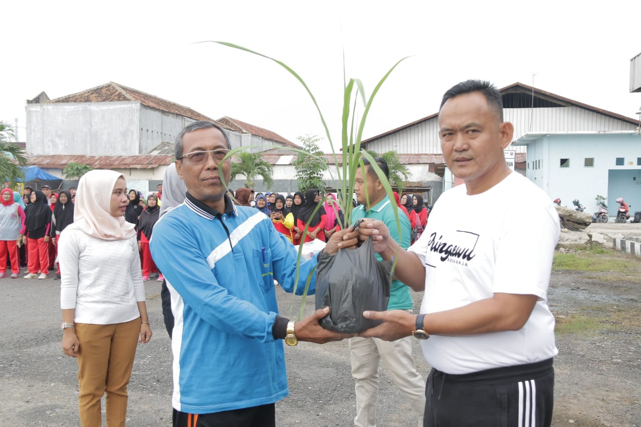 Pringsewu Nyatakan 'Perang' Lawan DBD