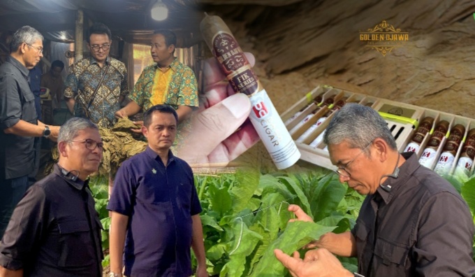 Komitmen PTPN I Dukung Asta Cita Melalui Cerutu Golden Djawa