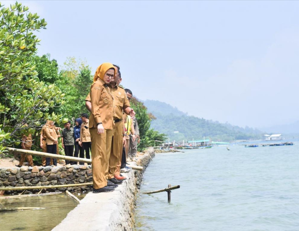 Bupati Pesawaran Tinjau Rehabilitasi Tanggul Pemecah Ombak di Desa Durian