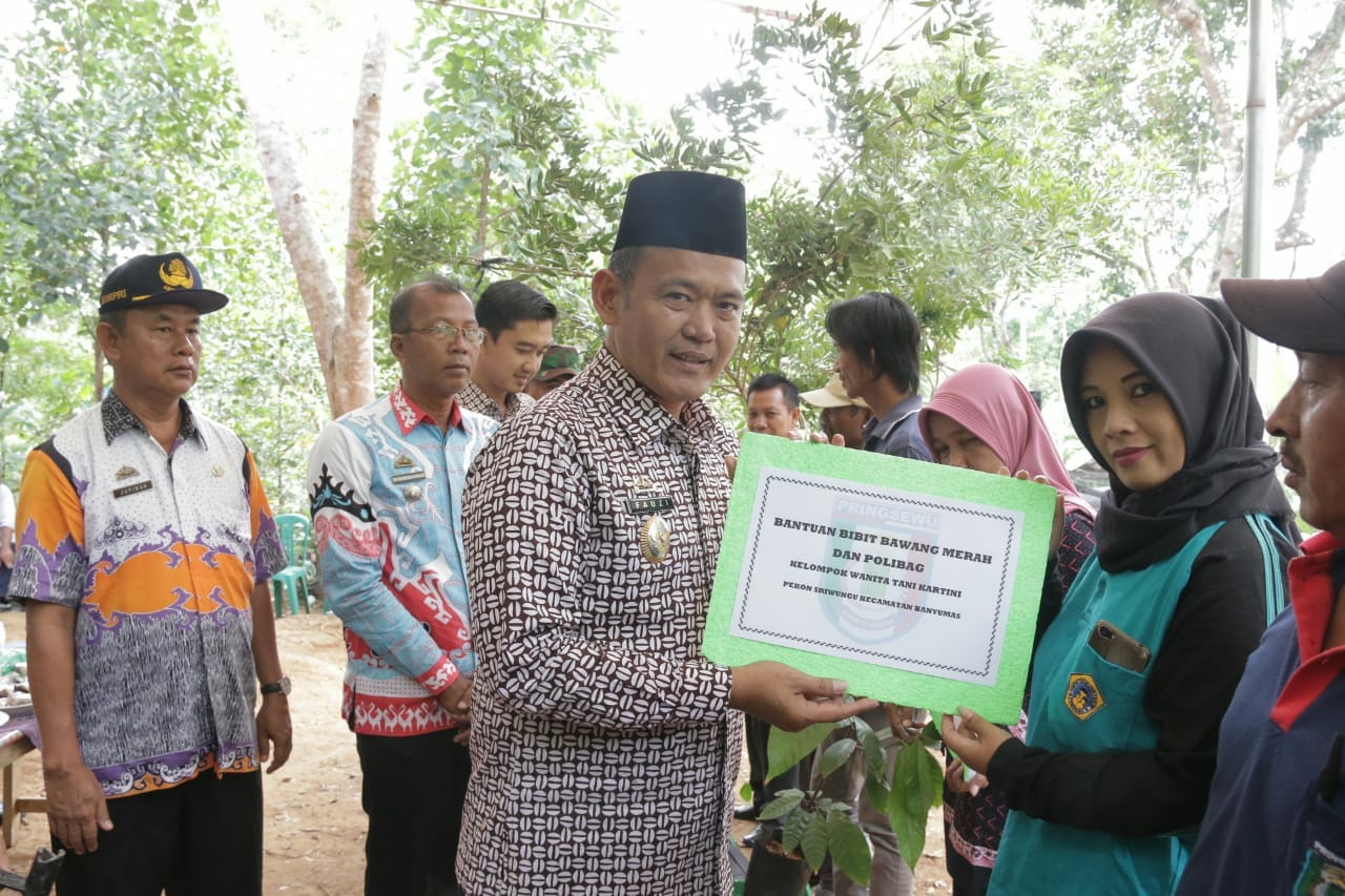Poktan Pagelaran Utara & Banyumas Dibantu Bibit dan Alsintan