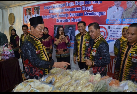 Peringati HUT Ke-9, Khamami Buka Pameran Pembangunan Kabupaten Mesuji.
