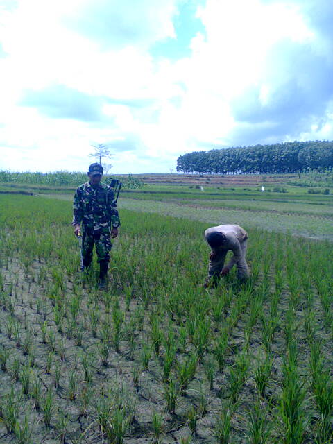 Hadapi Musim Tanam, Babinsa Beri Pengarahan Kepada Petani