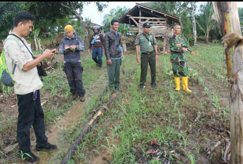 WRU-WCSIP, Belum Pasti Harimau Sumatera Yang Masuk Perkebunan Way Kunyir