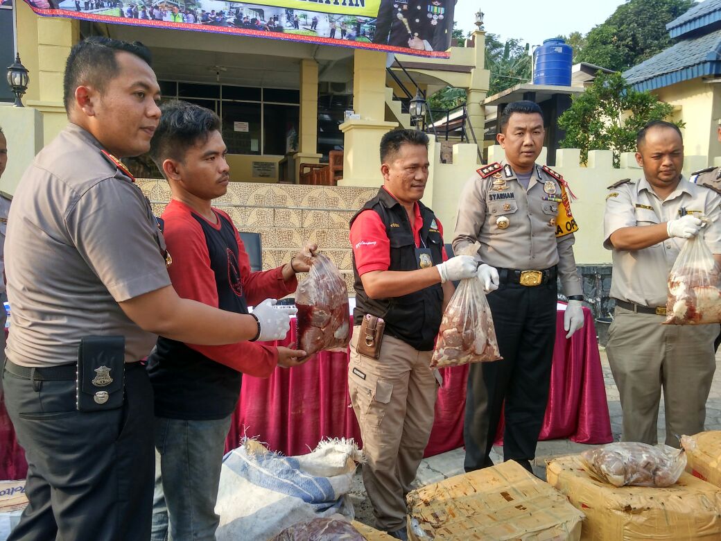 500 Kilogram Daging Celeng Berhasil Diamankan KSKP Bakauheni