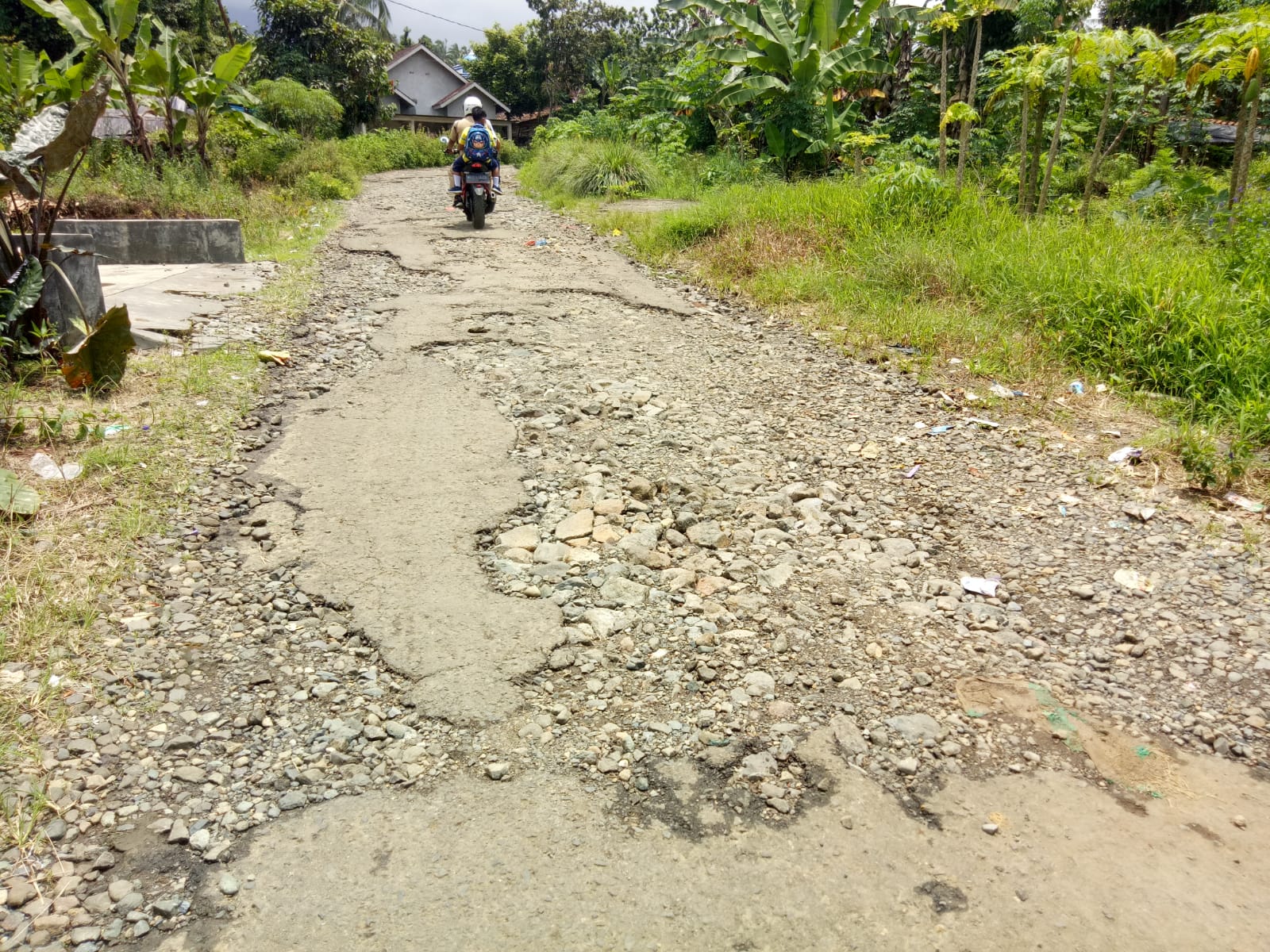 Masyarakat Pekon Benteng Jaya Kotaagung Keluhkan Jalan Rusak.