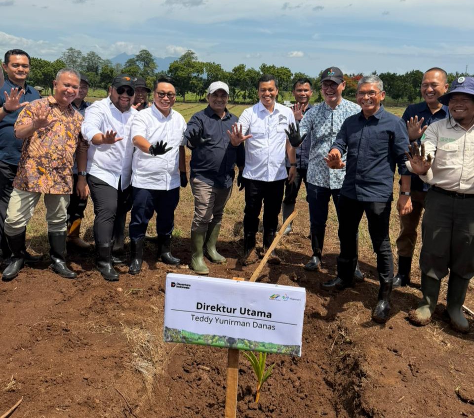 Mulai dari Banyuwangi, PTPN I Targetkan 550 Hektare Lahan Kelapa