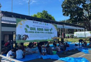 Berbagi Di Idul Adha, PTPN I Dan IV Reg.7 Sembelih Hewan Qurban
