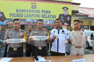 Polres Lamsel Gagalkan Penyeludupan 30 Ribu Lobster