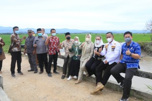 Reses Anggota DPRD Provinsi Lampung di Kabupaten Pringsewu