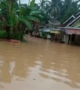 Sungai Wayratai Meluap, Beberapa Desa di Kecamatan Padang Cermin Terendam Banjir