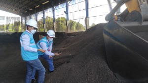 Tekan Emisi, PLN Manfaatkan Limbah Sawit Jadi Bahan Bakar PLTU Berau.