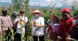 Bersama Kementrian Pertanian, Sudin Gelar Kunker ke Lampung Barat